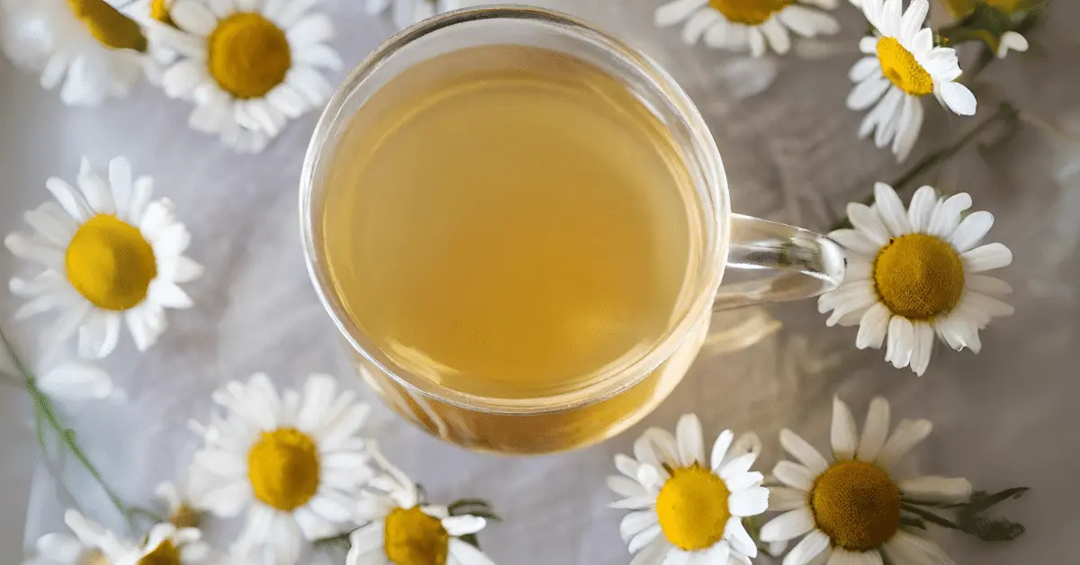 10 Remarkable Benefits of Chamomile Tea to Look Out for in 2024