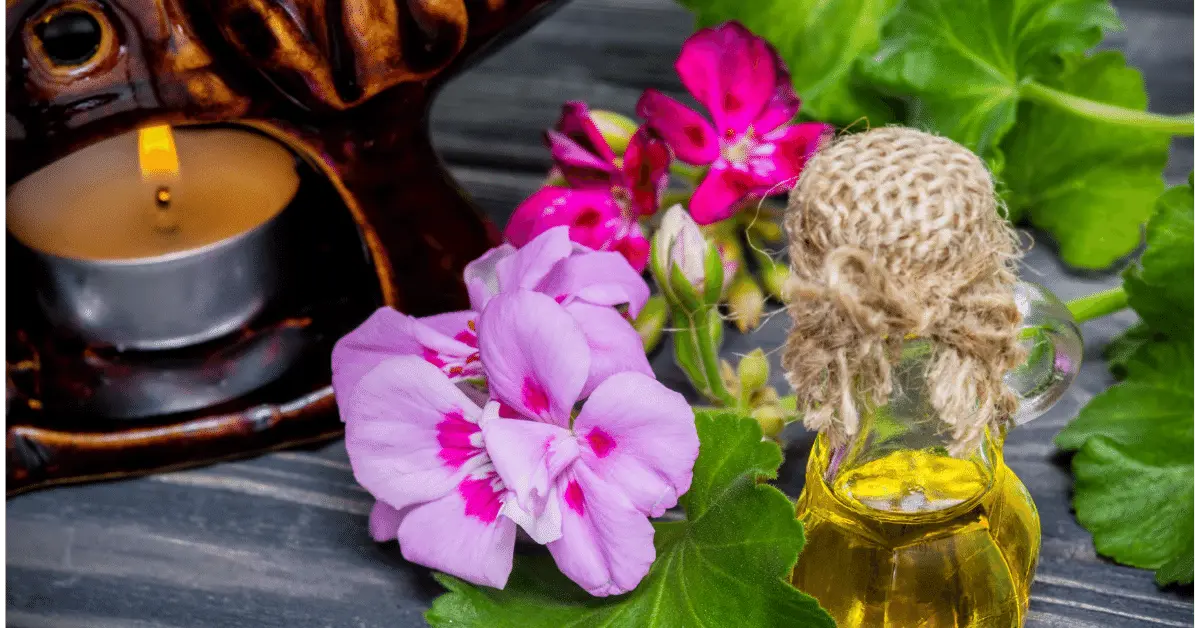 Top 10 Remarkable Benefits of Geranium Oil for Skin in 2024