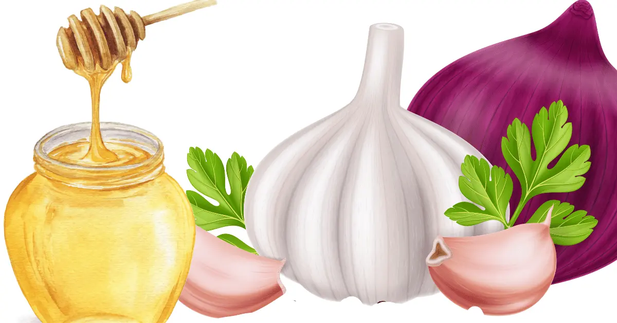 Exploring the Benefits of Garlic, Onion, and Honey Mixture in 2024